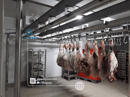 Frozen Storage Solutions: Strengthening Cold Chain Logistics in Saudi Arabia